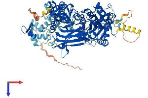 AlphaFold protein structure predicition of Human Recombinant PLCD3 Protein, UniprotID Q8N3E9