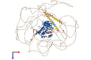 AlphaFold protein structure predicition of Mouse Recombinant Ttbk1 Protein, UniprotID Q6PCN3