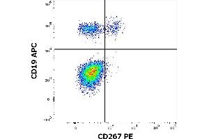 Flow cytometry multicolor surface staining of human lymphocytes stained using anti-human CD267 (1A1) PE antibody (10 μL reagent / 100 μL of peripheral whole blood) and anti-human CD19 (LT19) APC antibody (10 μL reagent / 100 μL of peripheral whole blood). (TACI anticorps  (PE))