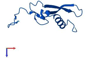 AlphaFold protein structure predicition of Mouse Recombinant Rps21 Protein, UniprotID Q9CQR2