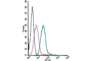 Cell surface detection of GPR35 by direct flow cytometry in live intact mouse J774 macrophage cells: (black line) Cells.