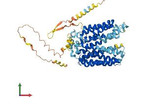 AlphaFold protein structure predicition of Human Recombinant SLC17A7 Protein, UniprotID Q9P2U7
