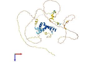 AlphaFold protein structure predicition of Human Recombinant SOX8 Protein, UniprotID P57073