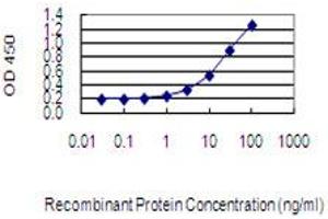 Detection limit for recombinant GST tagged MMP21 is 0.