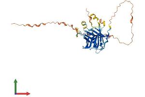 AlphaFold protein structure predicition of Human Recombinant PLSCR4 Protein, UniprotID Q9NRQ2