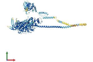 AlphaFold protein structure predicition of Human Recombinant MYO1B Protein, UniprotID O43795