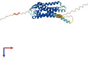 AlphaFold protein structure predicition of Mouse Recombinant Ffar4 Protein, UniprotID Q7TMA4
