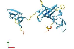 AlphaFold protein structure predicition of Human Recombinant EXOSC1 Protein, UniprotID Q9Y3B2