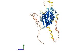 AlphaFold protein structure predicition of Human Recombinant C11orf42 Protein, UniprotID Q8N5U0