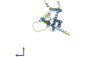 AlphaFold protein structure predicition of Mouse Recombinant Kcnk13 Protein, UniprotID Q8R1P5