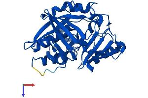 AlphaFold protein structure predicition of Mouse Recombinant Nat2 Protein, UniprotID P50295