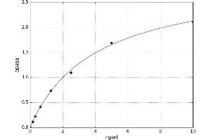 Cathepsin G (CTSG) ELISA Kit
