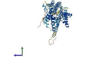 AlphaFold protein structure predicition of Mouse Recombinant Soat2 Protein, UniprotID O88908