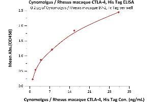 Immobilized Cynomolgus / Rhesus macaque B7-2, Fc Tag (ABIN2180852,ABIN2180851) at 2 μg/mL (100 μL/well) can bind Cynomolgus / Rhesus macaque CTLA-4, His Tag (ABIN2180926,ABIN2180925) with a linear range of 4-31 ng/mL (Routinely tested).