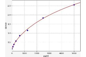 Typical standard curve (NEGR1 Kit ELISA)