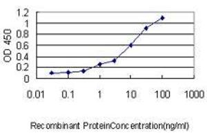 Detection limit for recombinant GST tagged ZNF143 is approximately 0. (ZNF143 anticorps  (AA 1-626))
