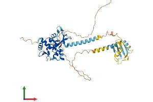 AlphaFold protein structure predicition of Mouse Recombinant Ssb Protein, UniprotID P32067