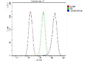 Flow Cytometry analysis of U87 cells using anti-HOOK3 antibody (ABIN6719547). (HOOK3 anticorps  (AA 14-198))