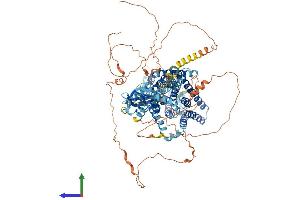 AlphaFold protein structure predicition of Mouse Recombinant Clcn1 Protein, UniprotID Q64347