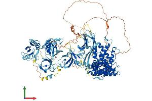 AlphaFold protein structure predicition of Human Recombinant RASA1 Protein, UniprotID P20936