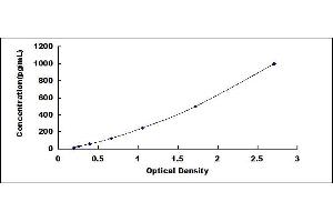 CD40 Ligand (CD40LG) ELISA Kit