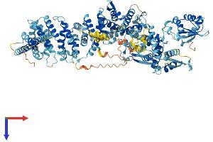 AlphaFold protein structure predicition of Human Recombinant UBE3C Protein, UniprotID Q15386