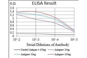 Black line: Control Antigen (100 ng), Purple line: Antigen(10 ng), Blue line: Antigen (50 ng), Red line: Antigen (100 ng),
