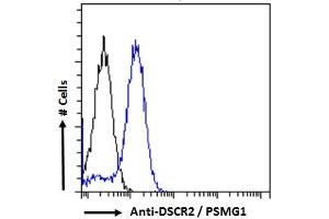 ABIN570956 Flow cytometric analysis of paraformaldehyde fixed Jurkat cells (blue line), permeabilized with 0. (PSMG1 anticorps  (C-Term))