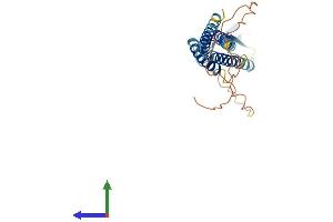 AlphaFold protein structure predicition of Human Recombinant CACNG7 Protein, UniprotID P62955