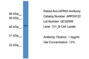 WB Suggested Anti-GPR83  Antibody Titration: 0.