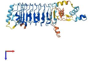 Leucine Rich Repeat Containing 58 (LRRC58) (AA 1-366) protein (His tag)