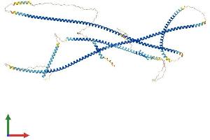AlphaFold protein structure predicition of Human Recombinant GOLGA2 Protein, UniprotID Q08379