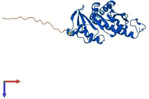 AlphaFold protein structure predicition of Human Recombinant APIP Protein, UniprotID Q96GX9