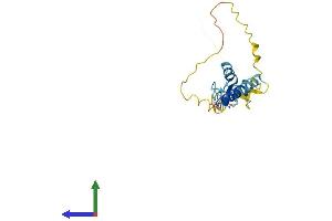 AlphaFold protein structure predicition of Human Recombinant RNF185 Protein, UniprotID Q96GF1