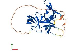 AlphaFold protein structure predicition of Mouse Recombinant Spin1 Protein, UniprotID Q61142