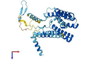 AlphaFold protein structure predicition of Mouse Recombinant Pex16 Protein, UniprotID Q91XC9