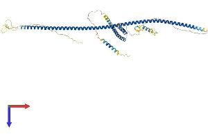 AlphaFold protein structure predicition of Mouse Recombinant Cep57 Protein, UniprotID Q8CEE0