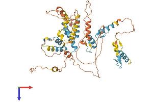 AlphaFold protein structure predicition of Human Recombinant ZNF215 Protein, UniprotID Q9UL58