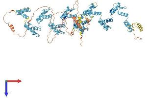 AlphaFold protein structure predicition of Human Recombinant ZNF347 Protein, UniprotID Q96SE7