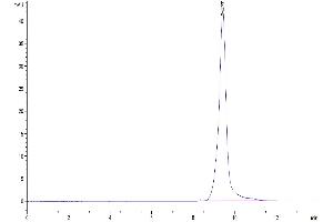 The purity of Human ULBP-2 is greater than 95 % as determined by SEC-HPLC.