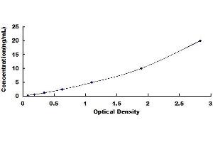 Typical standard curve (GPER Kit ELISA)