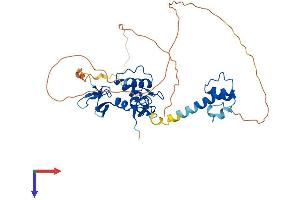 AlphaFold protein structure predicition of Human Recombinant RNF34 Protein, UniprotID Q969K3