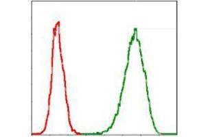 Flow cytometric analysis of Jurkat cells using MCM2 mouse mAb (green) and negative control (red).