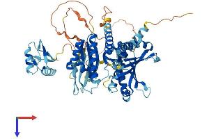 AlphaFold protein structure predicition of Mouse Recombinant Igf2bp2 Protein, UniprotID Q5SF07