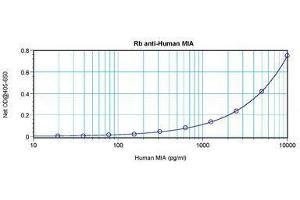 Image no. 4 for anti-Melanoma Inhibitory Activity (MIA) antibody (ABIN464851) (MIA anticorps)
