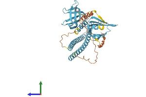 AlphaFold protein structure predicition of Mouse Recombinant Snap47 Protein, UniprotID Q8R570