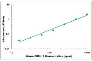 Representative Standard Curve (CXCL13 Kit ELISA)