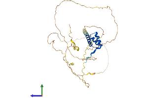 AlphaFold protein structure predicition of Human Recombinant NKX2-1 Protein, UniprotID P43699