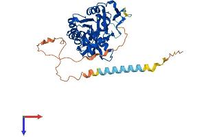 AlphaFold protein structure predicition of Human Recombinant HS3ST2 Protein, UniprotID Q9Y278