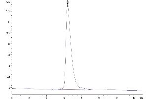 The purity of Human B7-H3 (4Ig) is greater than 95 % as determined by SEC-HPLC.